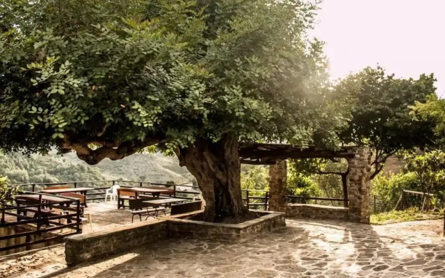 Casale I Cirillo: Primula & Iberide Florida