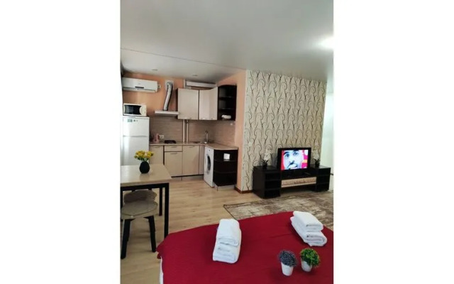 Апартаменты в г. Камышин на ул. Ленина 19