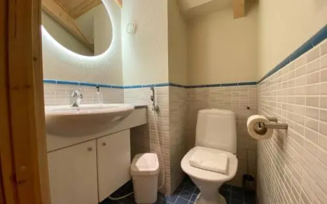 Levin Alppitalot Alpine Chalets Deluxe