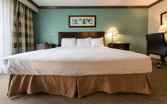Vanllee Hotel and Suites