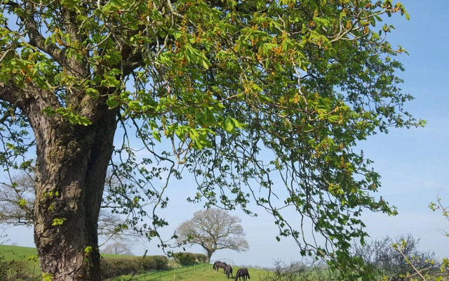 Bridleway Cottage