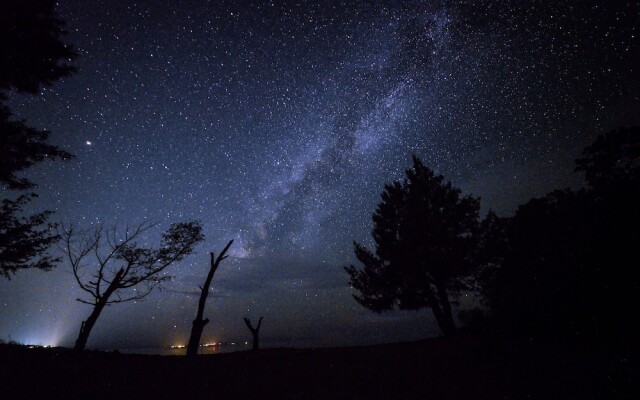 Pine House in ISHIGAKI