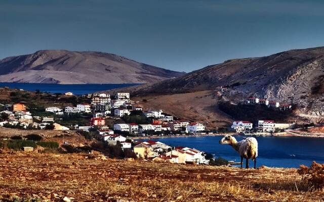 Comfortable Holiday Home in Metajna With Terrace