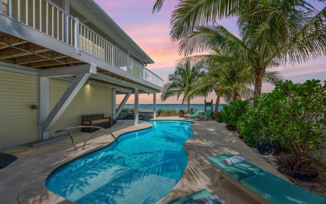 Dolphin Tales - 836 S Bay