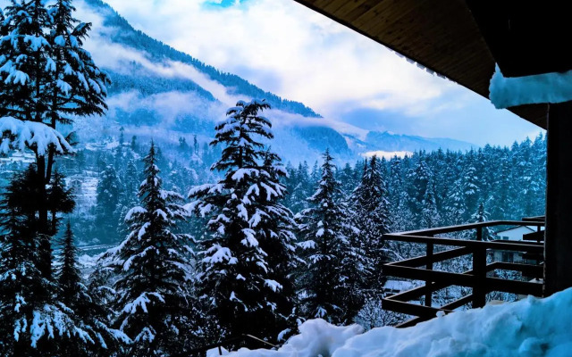 Alt Life Manali