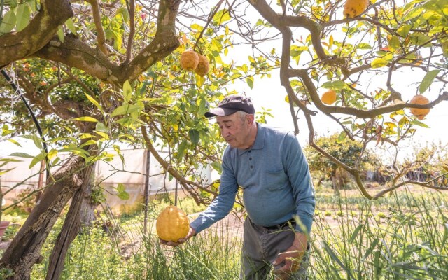 Calacala rooms, restaurant & farm experience
