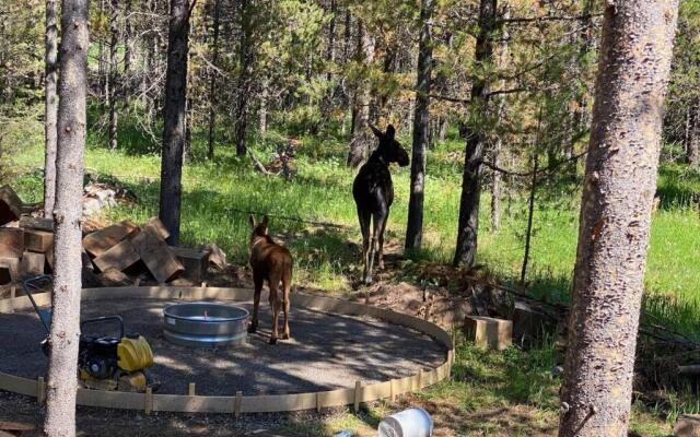Yellowstone Crossing Lodge