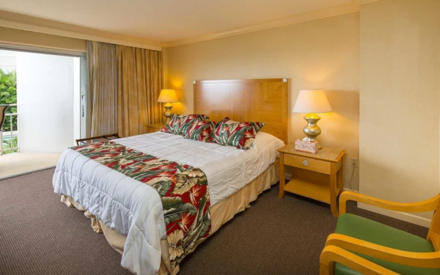 Ilikai 427 - Studio Condo