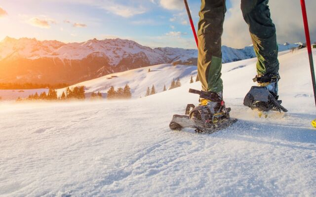 la LUNA delle MONTAGNE Chalet