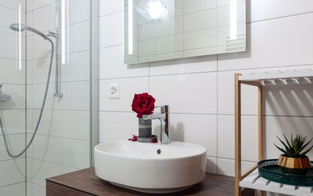 House Le Dahu Nendaz