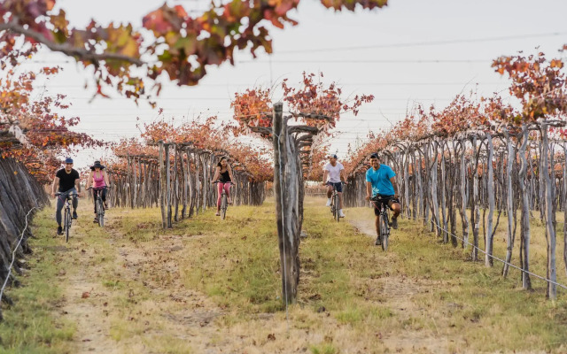 Piattelli Wine Resort