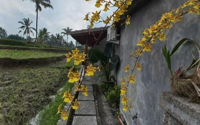 Rumah Kemuning Bali