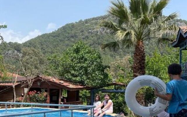 Wildpineolympos