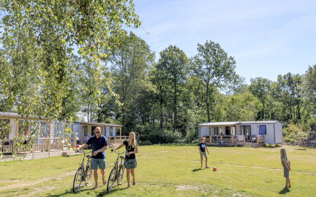 Nice Chalet With AC, on the Drents-friese Wold