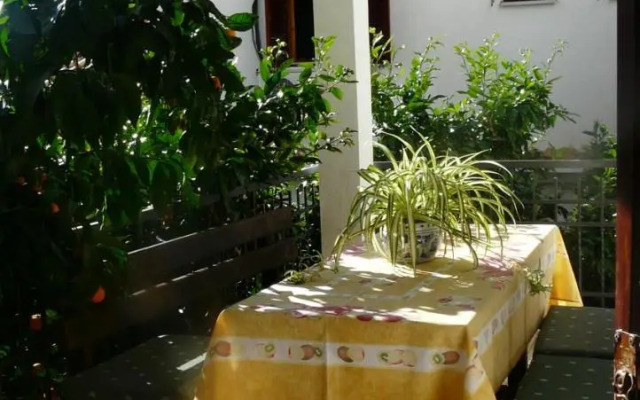 Guest house Živković