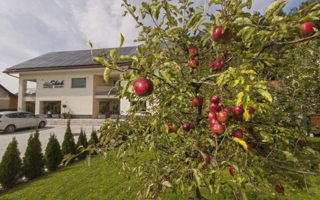 Wellness Suite Viola