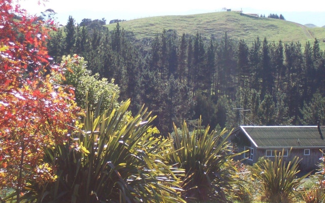 Westwind Homestay B & B – Outside – Waitakaruru