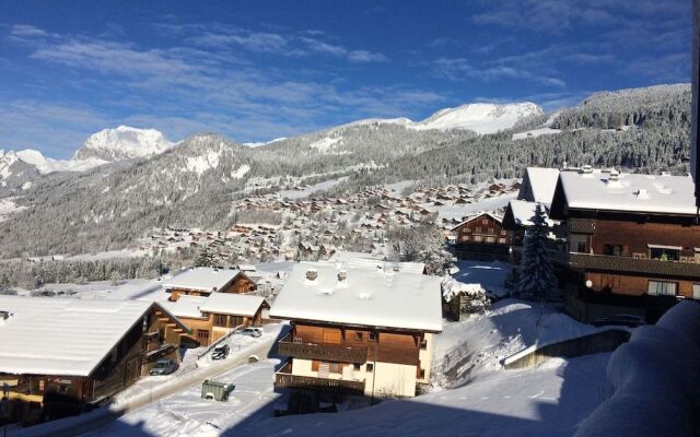 Central Hostel Châtel