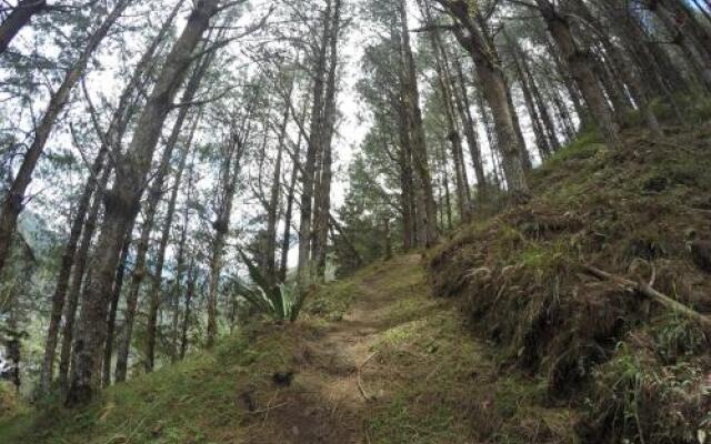 Centro Ecoturístico Alpinar