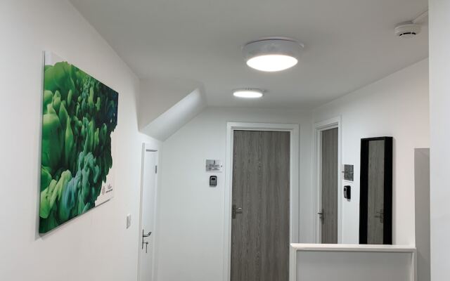 Willow Serviced Apartments - Northcote Street