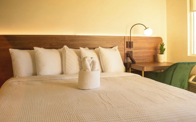 The Alice Hotel