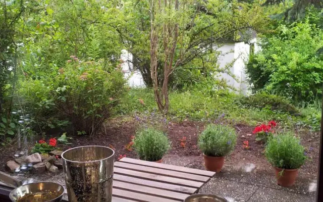 Cityappartement Österberg