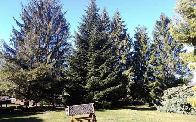 Ferienhaus zum Vogelnest