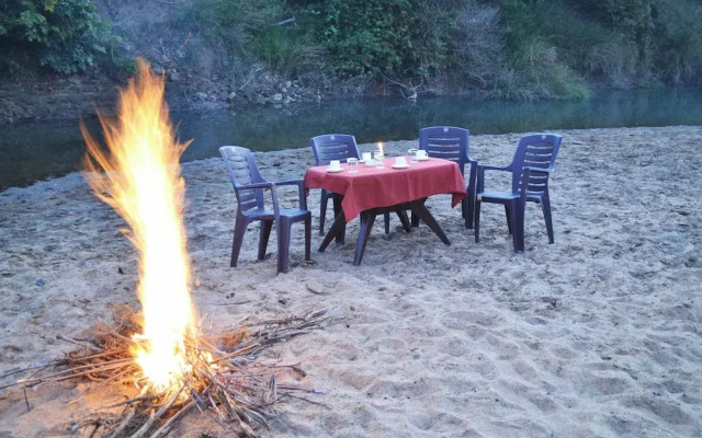 Mahua Tola Tadoba