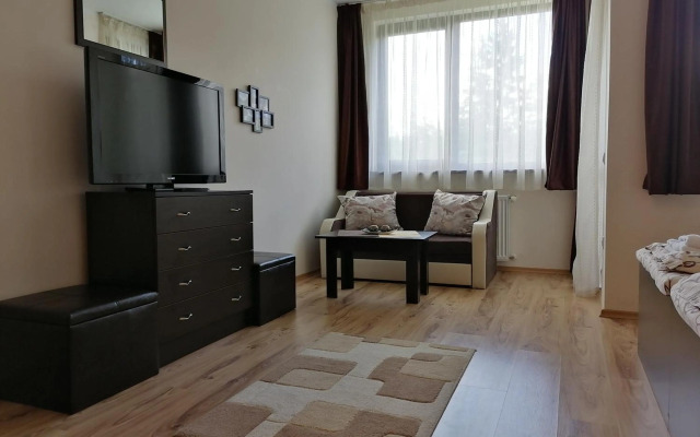 Borovets Gardens Studio D36