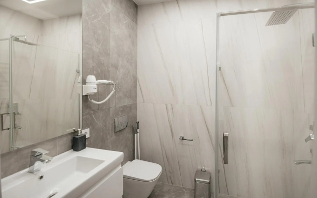 Лакколит 993