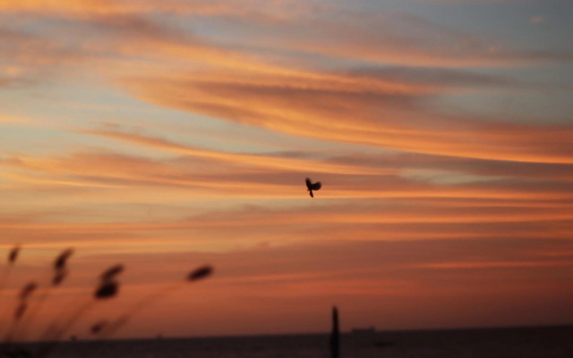 Casa Kresala, Surf House