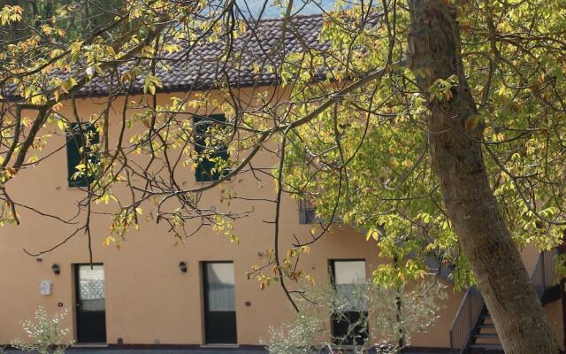 Sul sentiero di Francesco