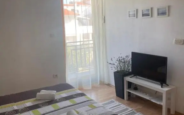 Apartment Anic Milic
