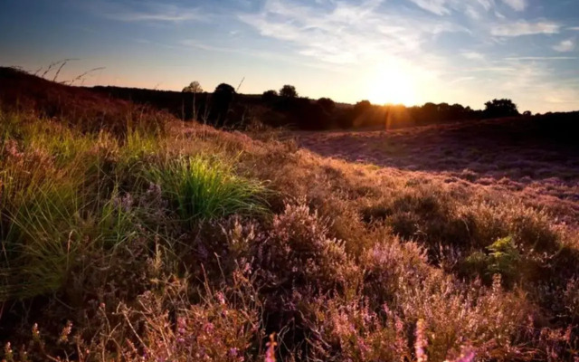 Trekkershut / 4-persoons tent