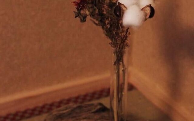 Sakuragawa no Kyoto Japan House