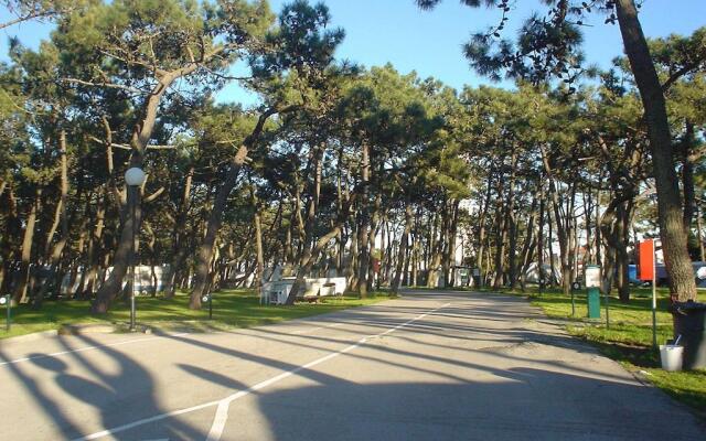 Parque De Campismo Da Praia Da Barra