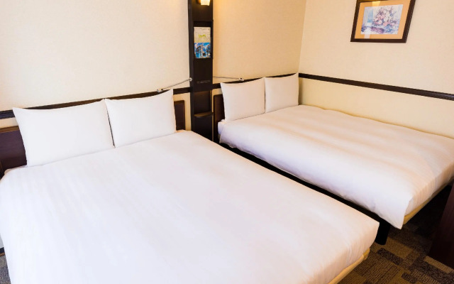 Toyoko Inn Keio Line Hashimoto Station Kita