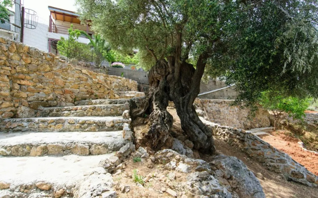 Ortaki Traditional House