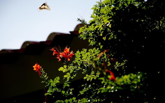 Sa Pedrera Country Hotel