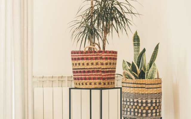 Vale Pisco Villa De Sonho