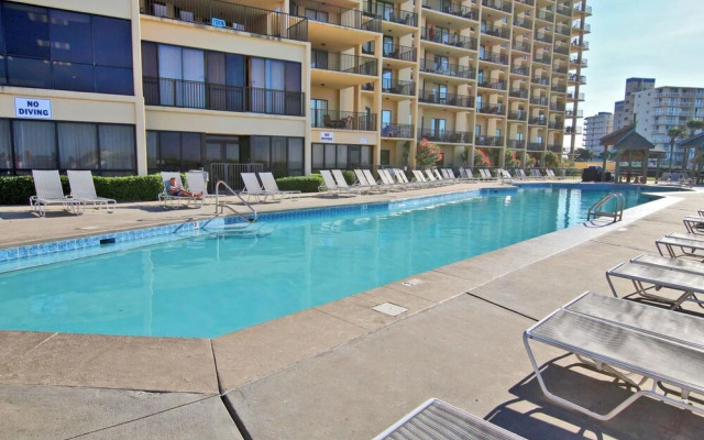 Phoenix V1008 by Youngs Suncoast