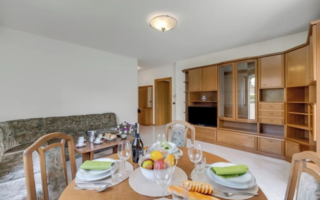 The Olive Tree Garden With Mountain View