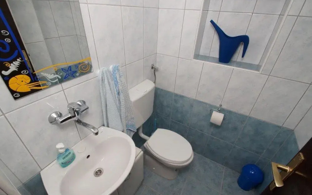 Vacation House Planika