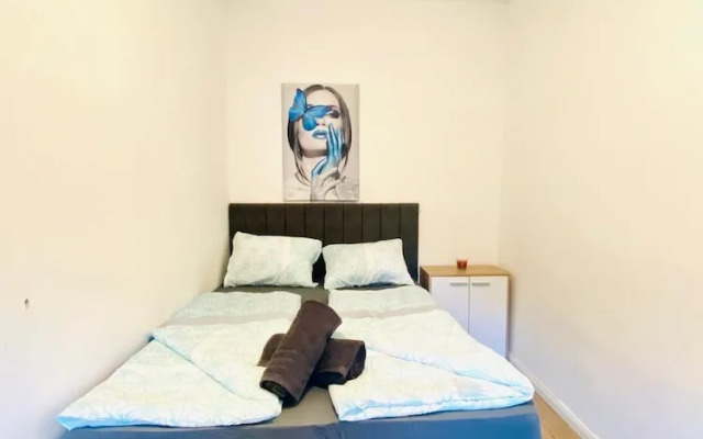 Spacious 4BR for 15 & 15 Min to Danube