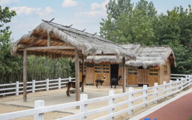 Wonderland Resort