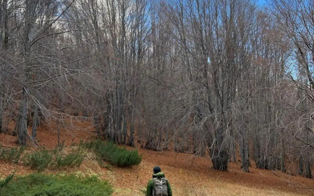 Villa in Residence La Bussola