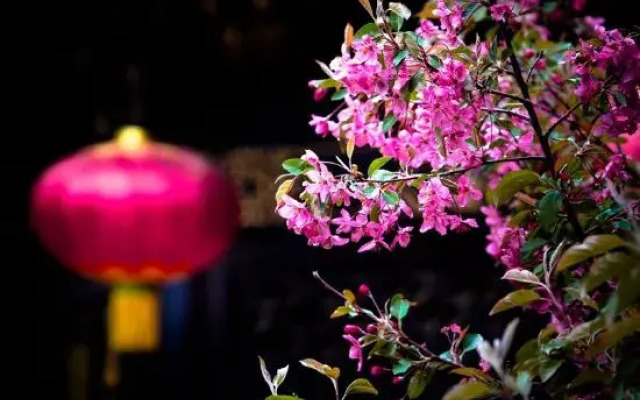 Wenying Hotel