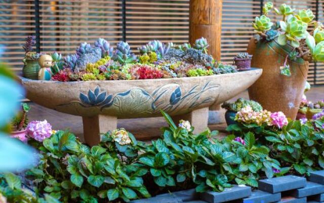 TaiShidi Think House garden