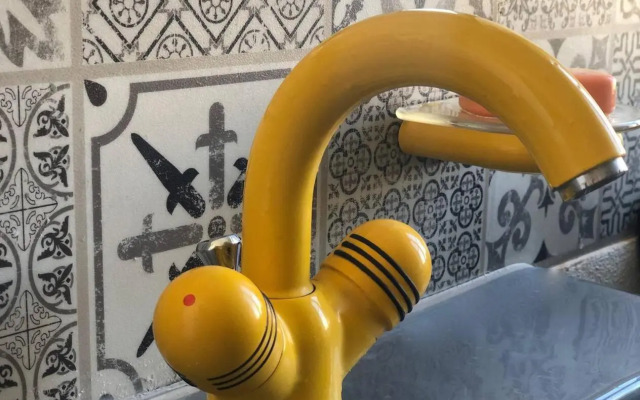 Into The Green Apartment