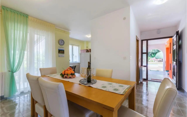 Apartment Nedescina 47
